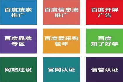 案例研究：如何通过竞价广告实现精准营销